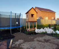 ������ ������