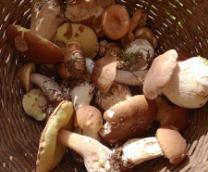 ����� � ������.