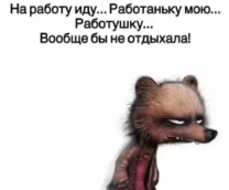 ������ �������