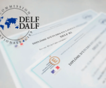 Как подготовиться к DELF B1?