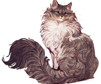 ����������