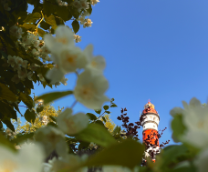 �������� �� ������������� �������