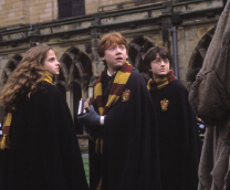 Training for the ballet Potter?