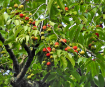 �������� ��������!