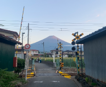 ��� ������