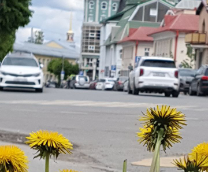 ��� ������� ������