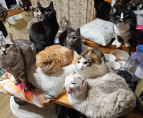 ����� �� ������